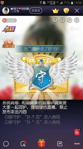 海鸽晚上播主播照片