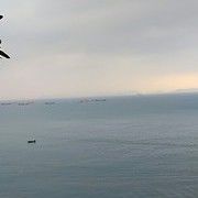 愛尔的欣