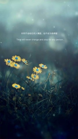 流水@歌舞青春主播照片