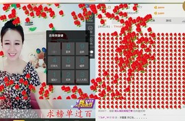 杨妹小可爱主播照片