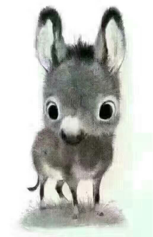 Water♍冷曦的主播照片