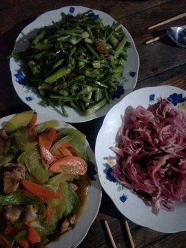 忆姐姐主播照片