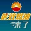 蛋挞姑娘