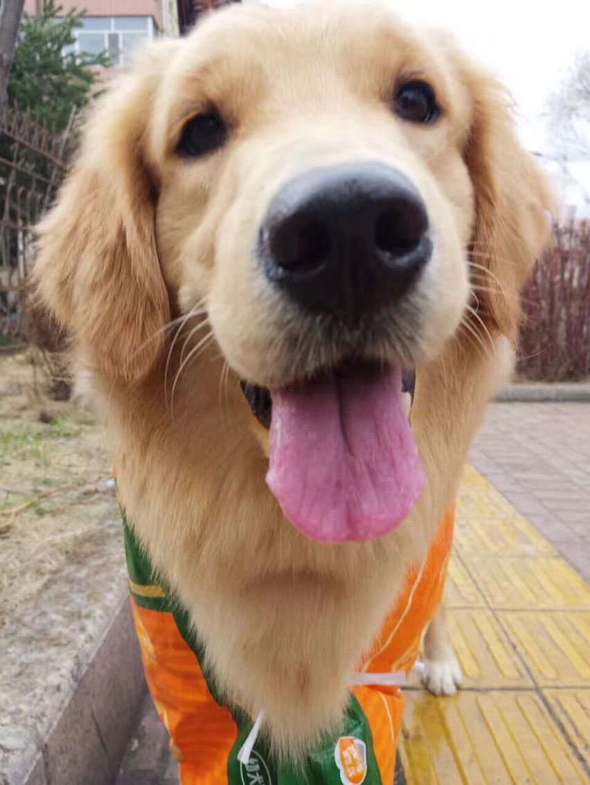 六💕的主播照片