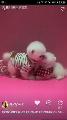 ✨媳婦⭐求🌙帶走✨主播照片