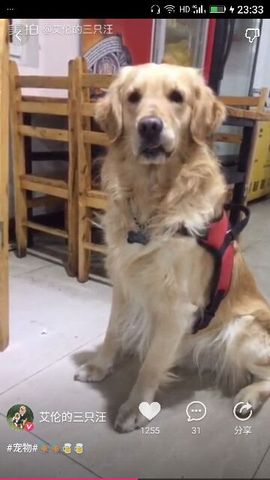 ✨媳婦⭐求🌙帶走✨主播照片