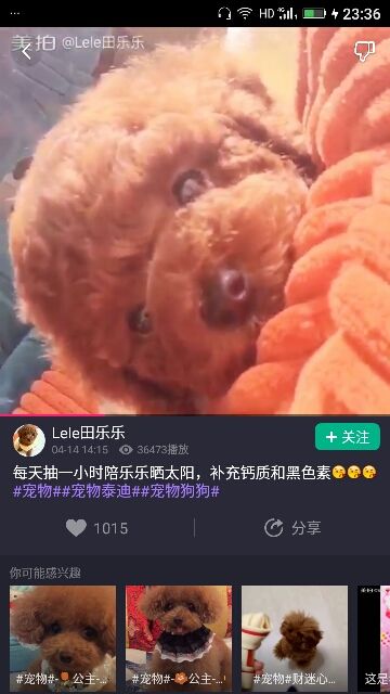 ✨媳婦⭐求🌙帶走✨主播照片