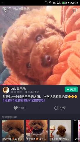 ✨媳婦⭐求🌙帶走✨主播照片