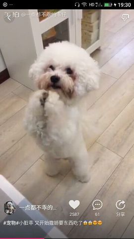 ✨媳婦⭐求🌙帶走✨主播照片