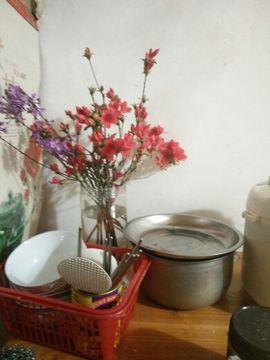 在你的眼里找到了我主播照片
