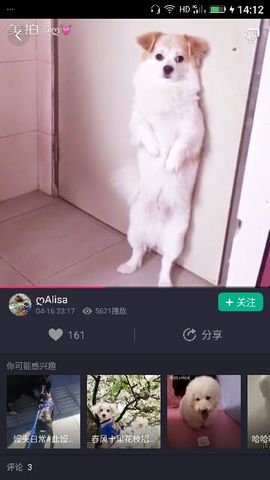 ✨媳婦⭐求🌙帶走✨主播照片