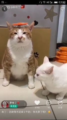 ✨媳婦⭐求🌙帶走✨主播照片