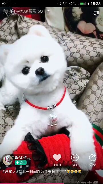✨媳婦⭐求🌙帶走✨主播照片