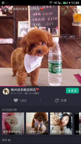 ✨媳婦⭐求🌙帶走✨主播照片