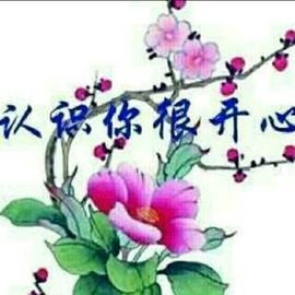 避风港是新人，主播照片