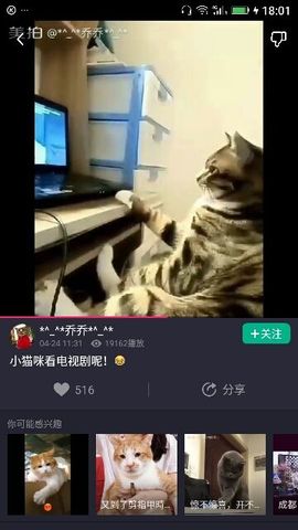 ✨媳婦⭐求🌙帶走✨主播照片