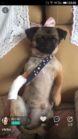 ✨媳婦⭐求🌙帶走✨主播照片