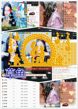 雷诺/主播照片