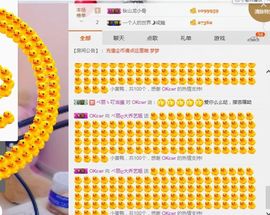 小艺停播主播照片