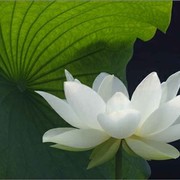 人生无悔（拒聊）海报