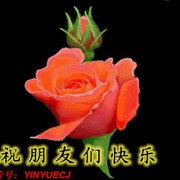 钻石王老五q0海报