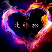 北纬松海报