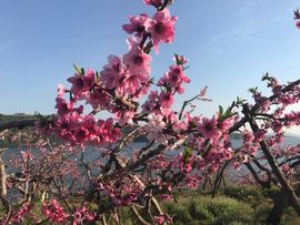 🌺蔷薇🌺主播照片