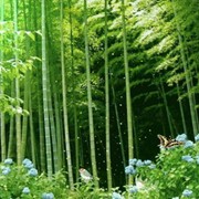 老公老公啊老公