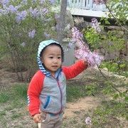 最慢泡泡哥海报