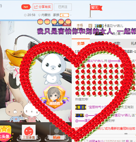 一只雁~主播照片