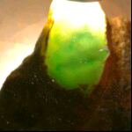 疾病健康教育主播照片