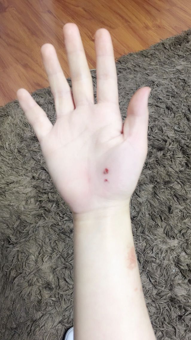 橙子（不忘初心）主播照片