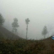 沒心没肺2