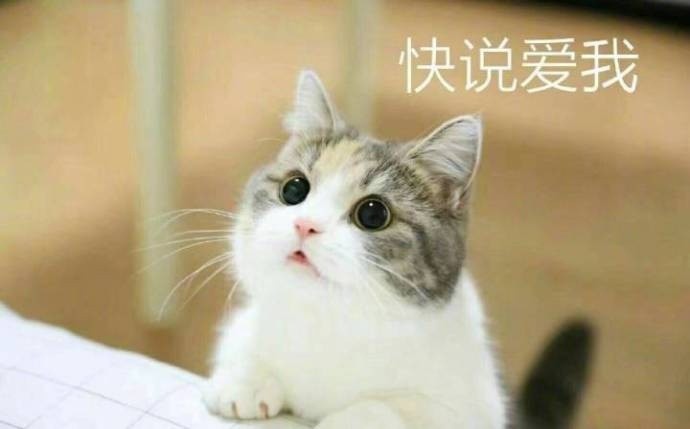 習慣有妮的图片