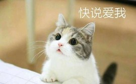 習慣有妮主播照片