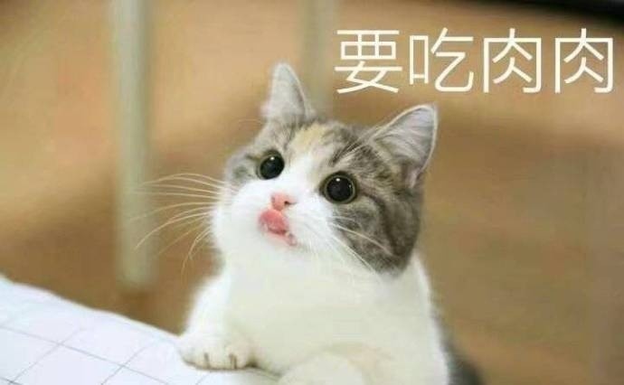 習慣有妮的图片