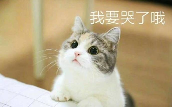 習慣有妮的图片