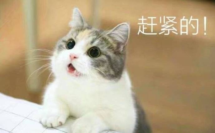習慣有妮的图片