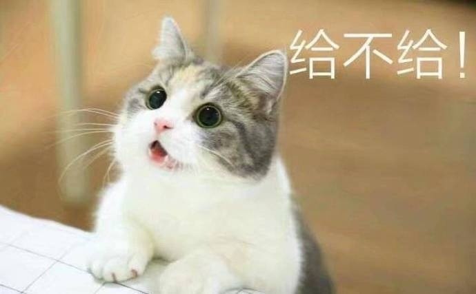 習慣有妮的图片
