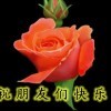 开心每一天，d