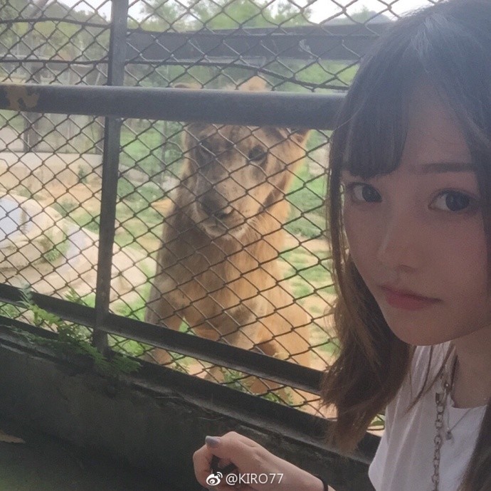 習慣有妮的图片
