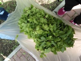 吃货🐽猪猪^O^主播照片