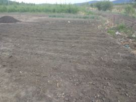 吃货🐽猪猪^O^主播照片