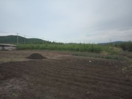 吃货🐽猪猪^O^主播照片