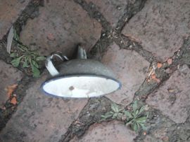 吃货🐽猪猪^O^主播照片