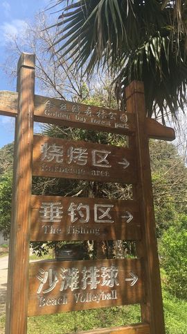 小艺停播主播照片
