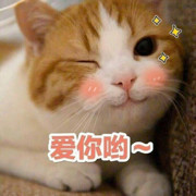 じ★要美就美若小美✿