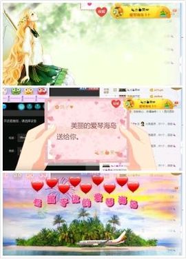 海鸽晚上播主播照片