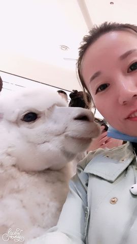 叶儿^^主播照片