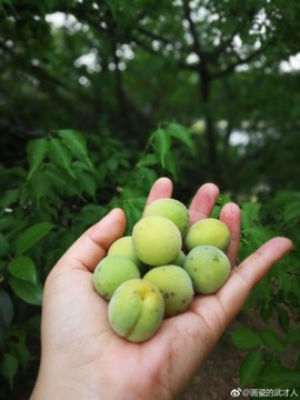 风快意主播照片